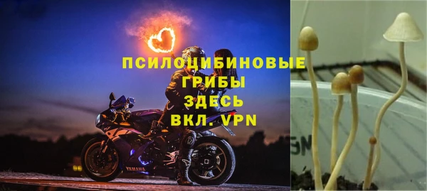 ECSTASY Бронницы